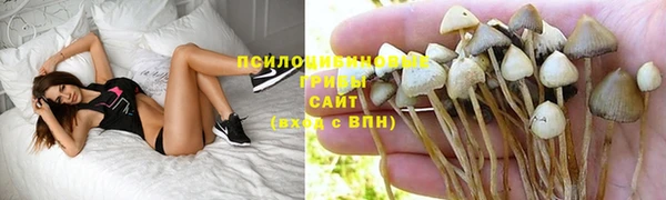 скорость Балахна