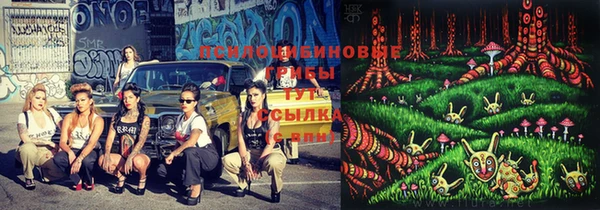 скорость Балахна