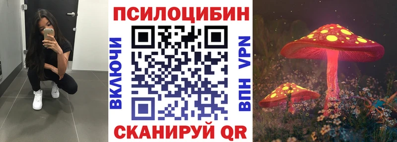 Галлюциногенные грибы Cubensis Муравленко